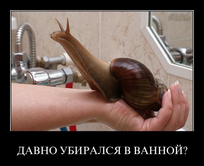 Демотиваторы приколы