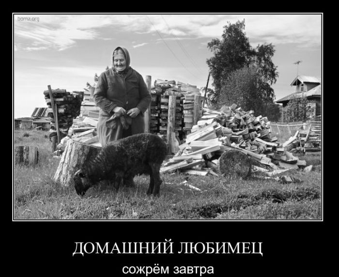 Демотиваторы приколы