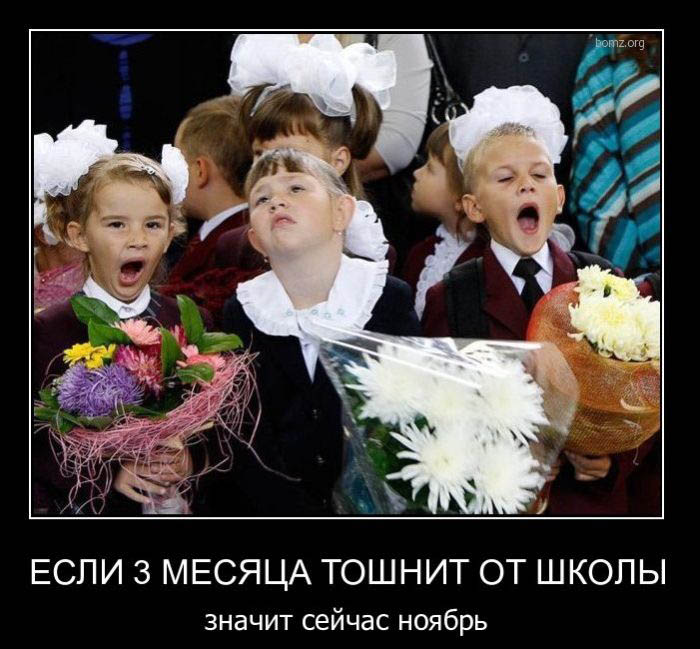 Демотиваторы приколы