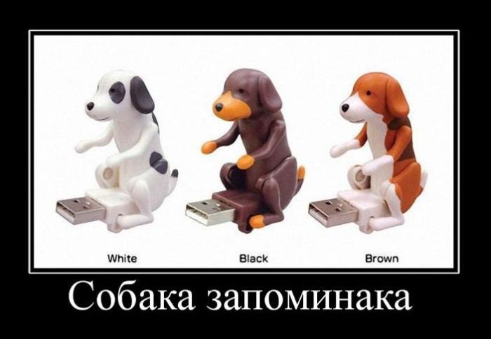 Демотиваторы приколы