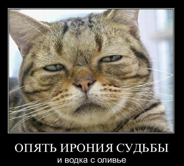 Демотиваторы приколы