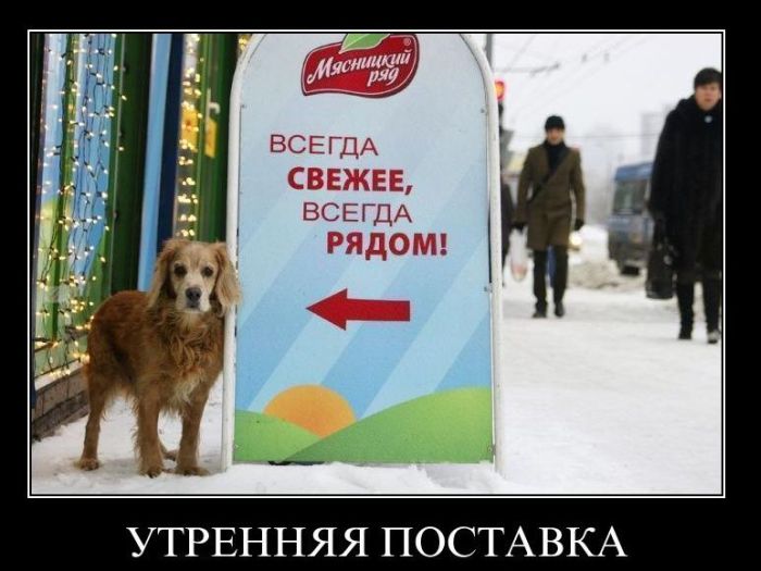 Демотиваторы приколы