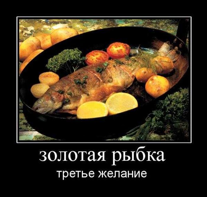 Демотиваторы приколы