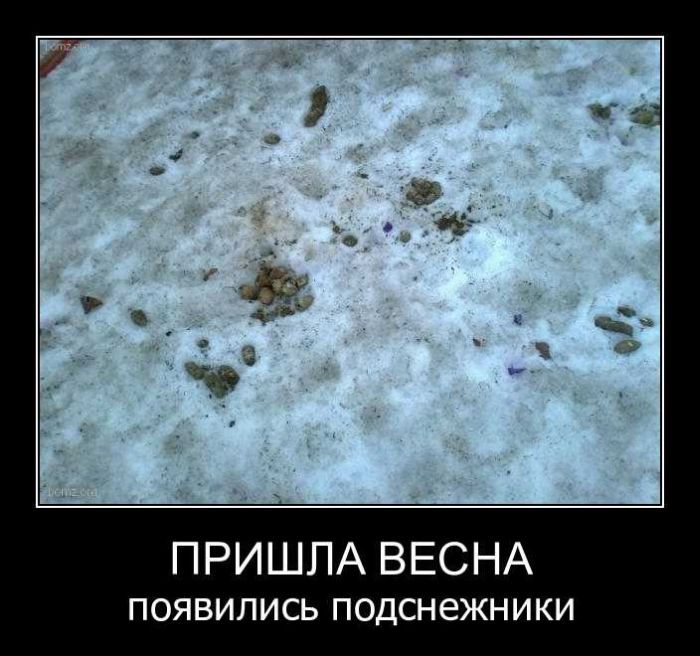 Демотиваторы приколы