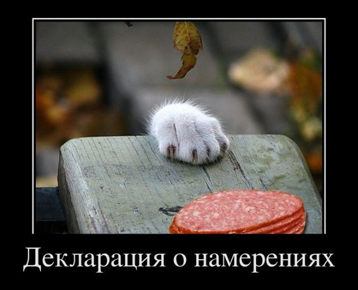 Демотиваторы приколы