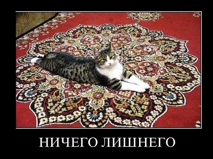 Демотиваторы приколы