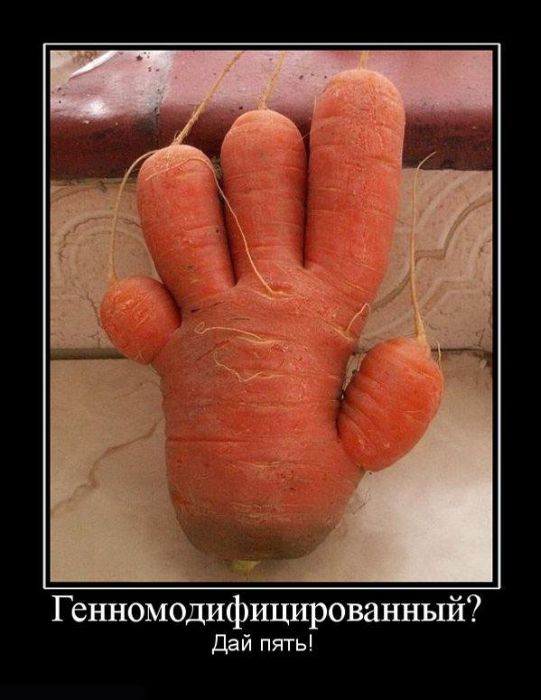 Демотиваторы приколы