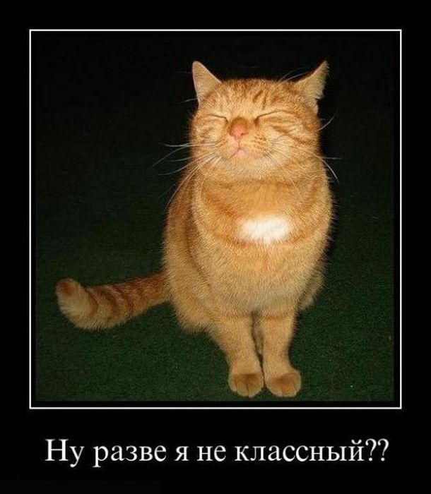 Демотиваторы приколы