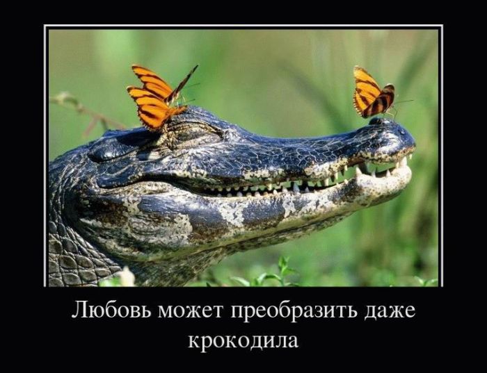 Демотиваторы приколы