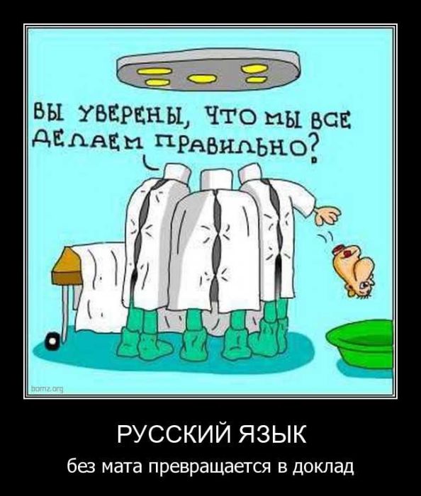 Демотиваторы приколы