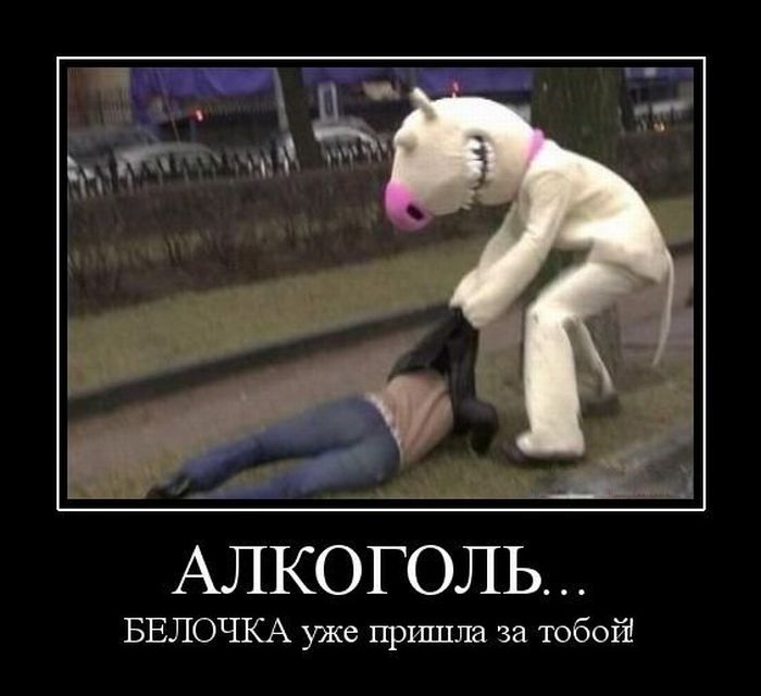 Демотиваторы приколы