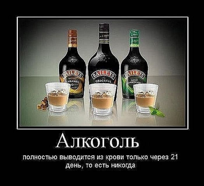 Демотиваторы приколы