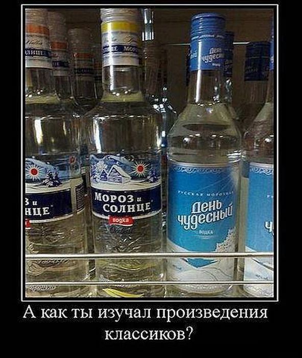 Демотиваторы приколы