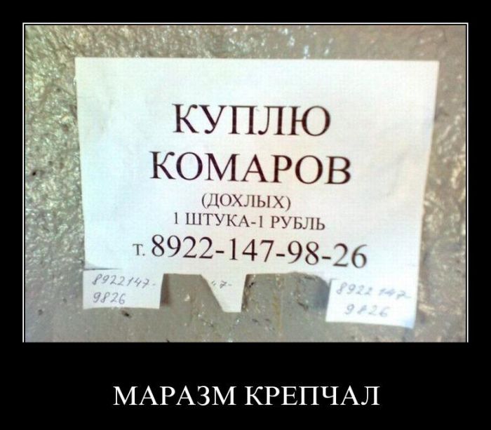 Демотиваторы приколы