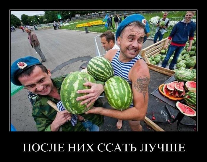 Демотиваторы приколы