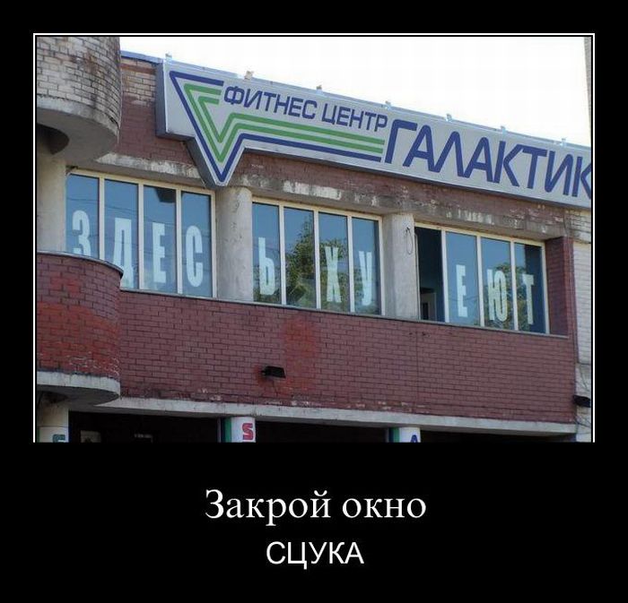 Демотиваторы приколы