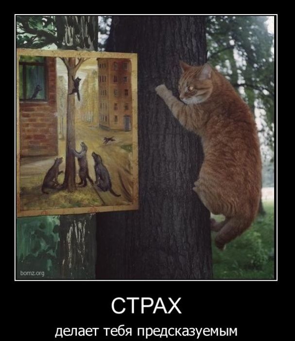 Демотиваторы приколы
