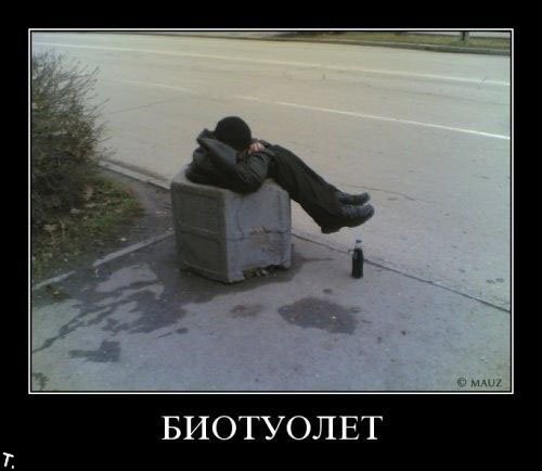 Демотиваторы приколы