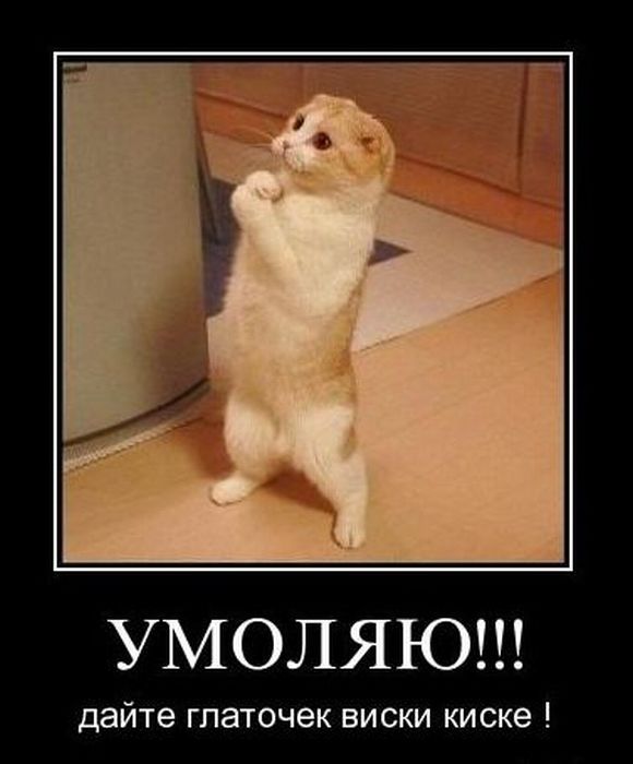 Демотиваторы приколы