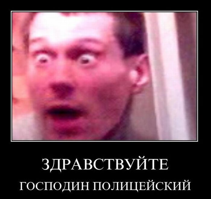 Демотиваторы приколы