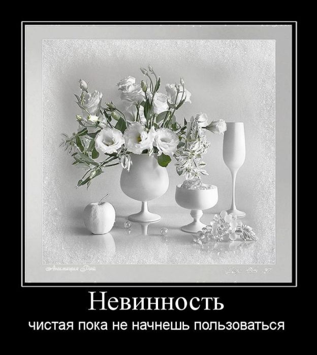 Демотиваторы приколы