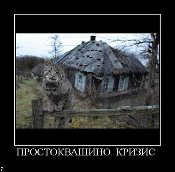 Демотиваторы приколы