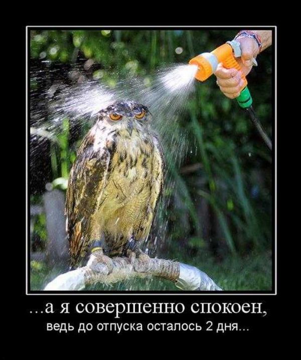 Демотиваторы приколы