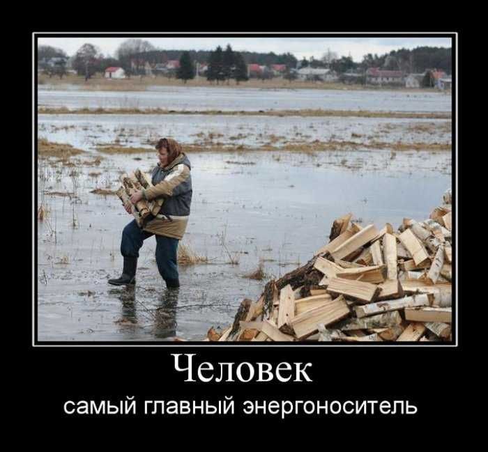Демотиваторы приколы