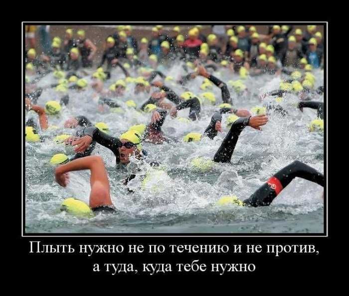 Демотиваторы приколы