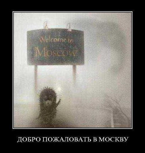 Демотиваторы приколы