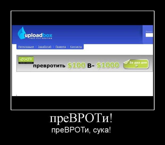 Демотиваторы приколы