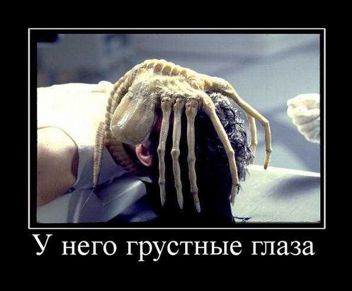 Демотиваторы приколы