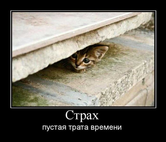 Демотиваторы приколы