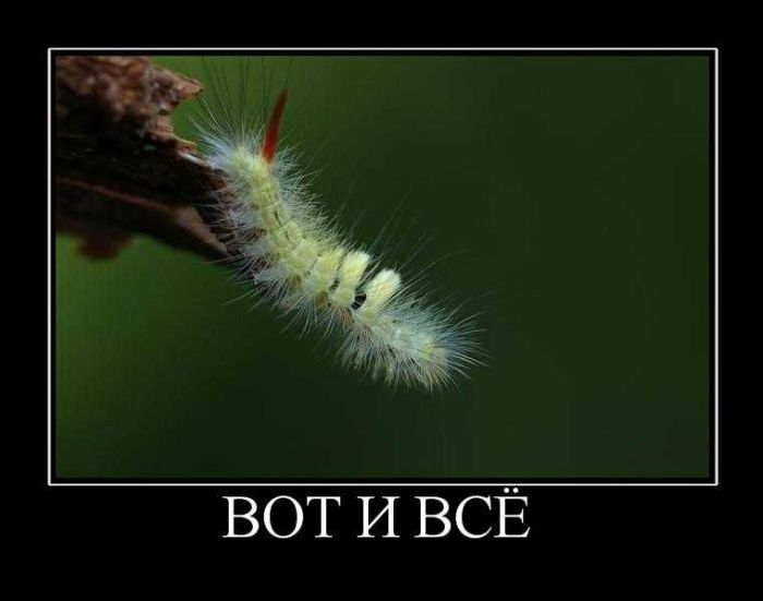 Демотиваторы приколы