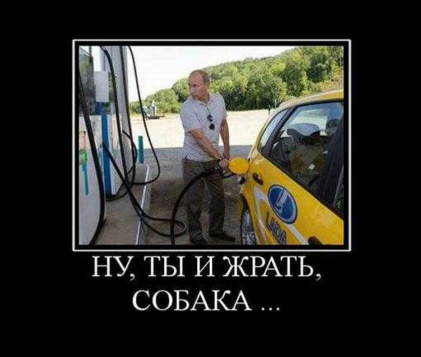 Демотиваторы приколы