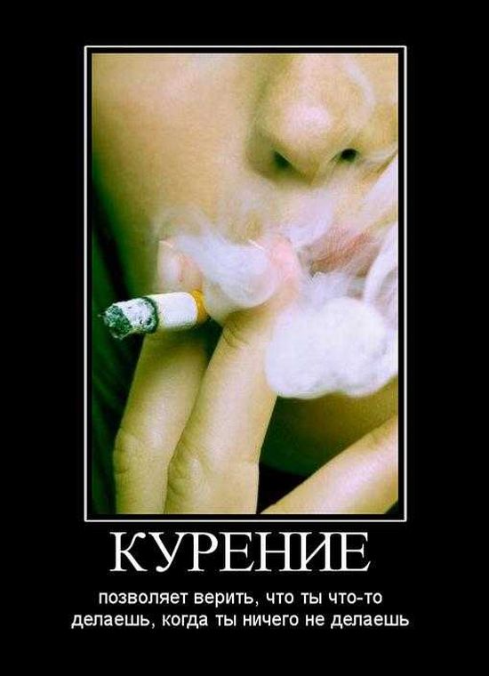 Демотиваторы приколы