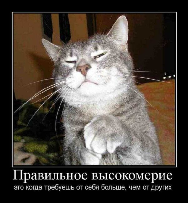 Демотиваторы приколы