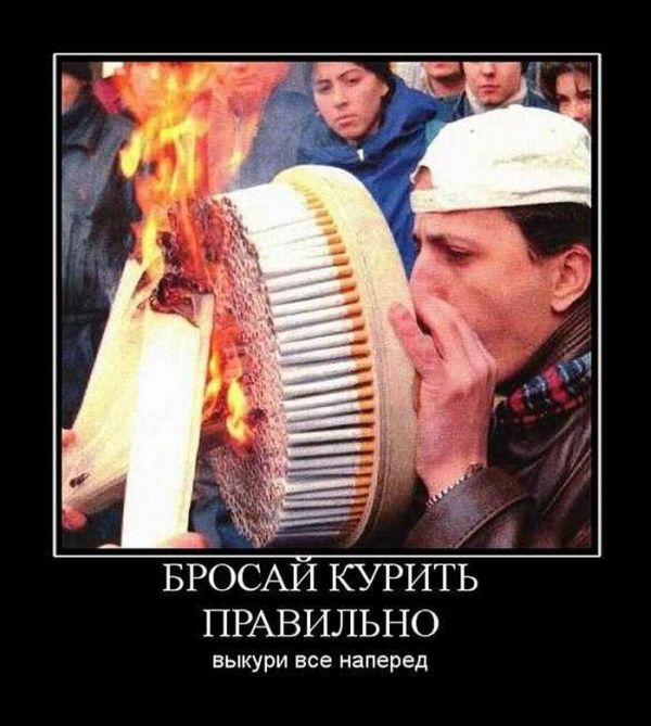 Демотиваторы приколы