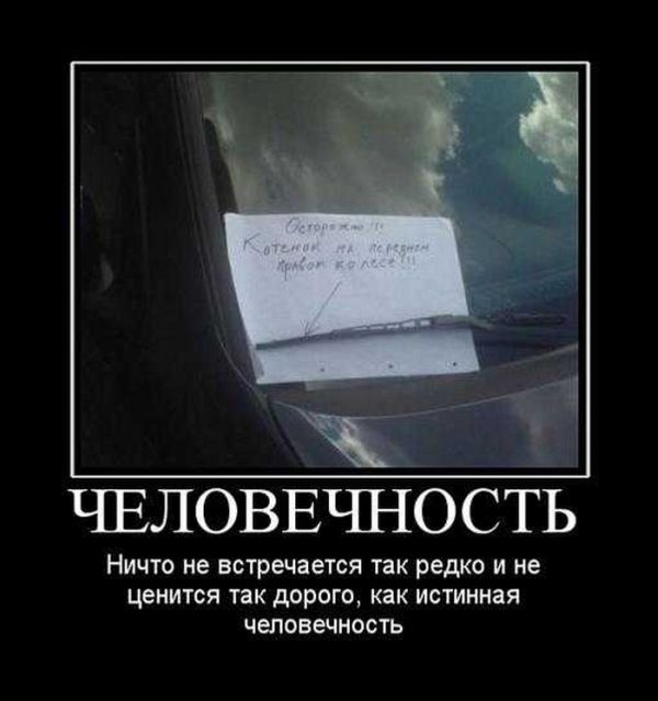 Демотиваторы приколы