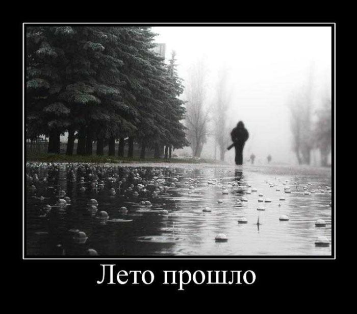 Демотиваторы приколы