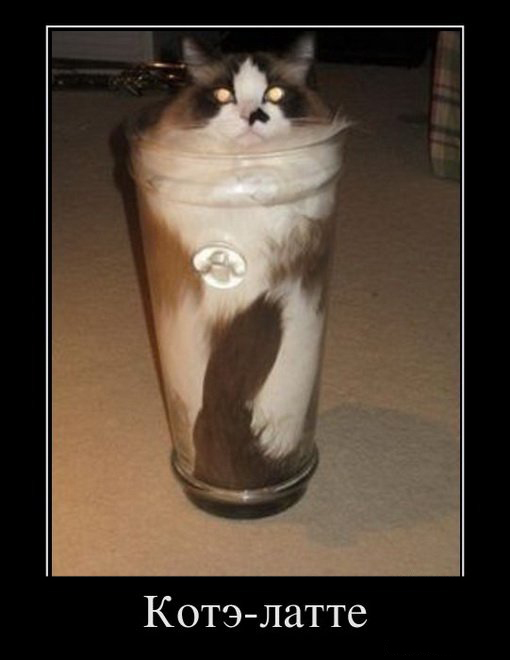 Демотиваторы приколы