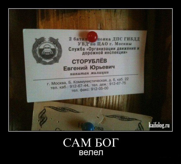 Демотиваторы приколы