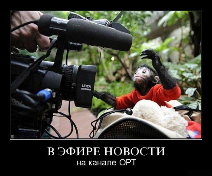 Демотиваторы приколы