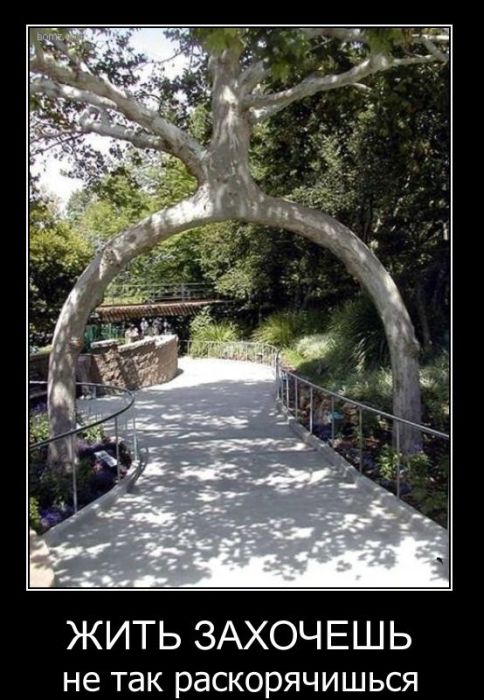 Демотиваторы приколы