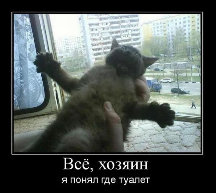 Демотиваторы приколы