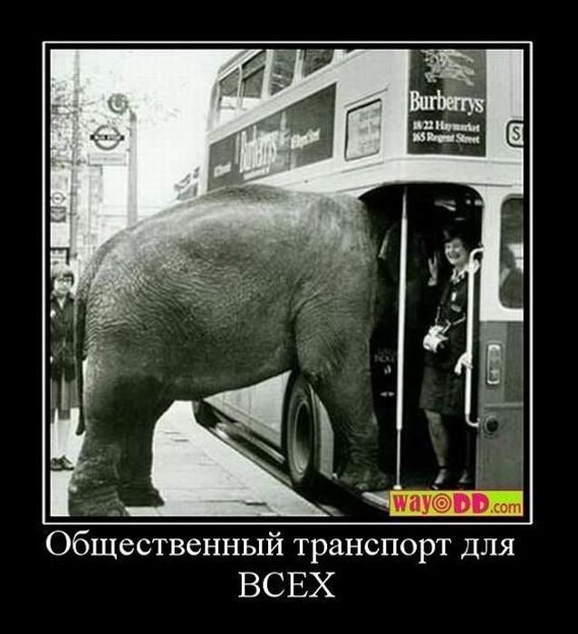 Демотиваторы приколы