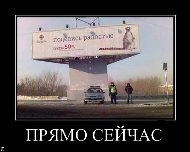 Демотиваторы приколы