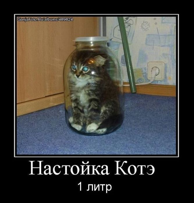 Демотиваторы приколы