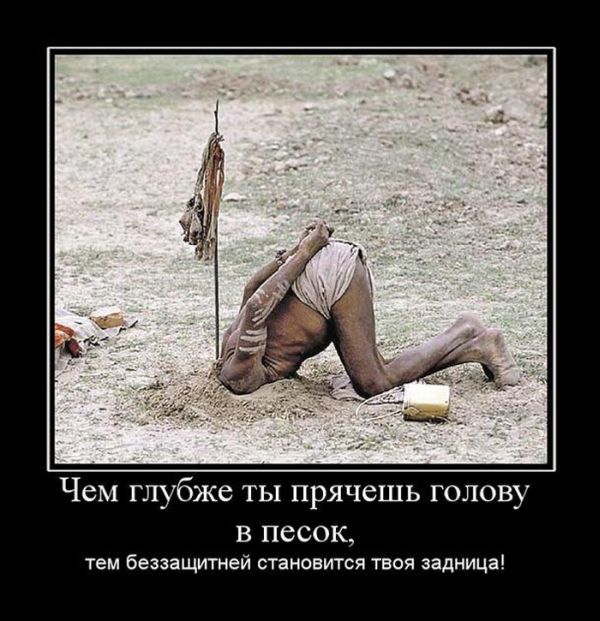 Демотиваторы приколы