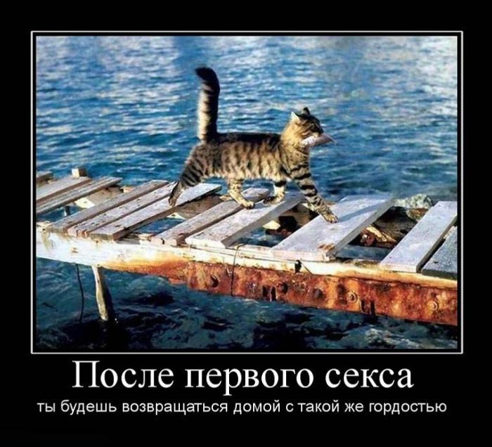 Демотиваторы приколы